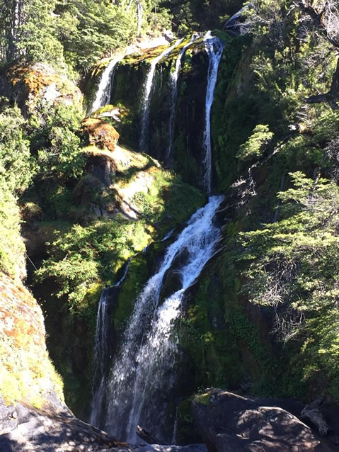 <h2>The Best of Argentina Escorted 2019 Feb 4</h2>11 Nights in Patagonia & Buenos Aires | 6 Rounds | February 4 – 15